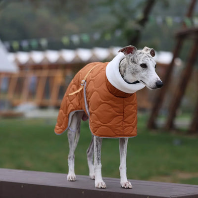 Veste Hiver Imperméable Doublure Épaisse Gros Chien