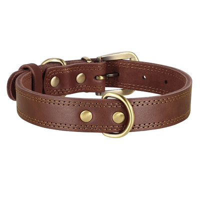 Collier Cuir Véritable Double Anneau Boucle Laiton Pitbull Chien