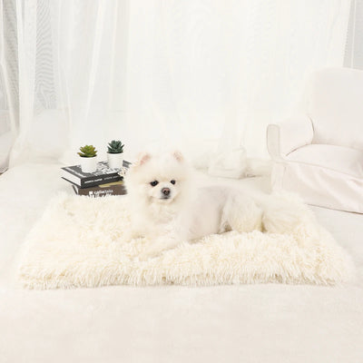 Tapis Moelleux Chien Ultra Doux Grand Format