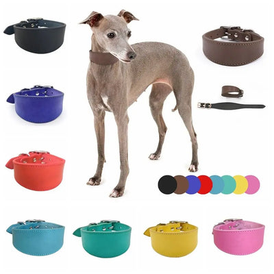 Collier Cuir Large Anti-Traction pour Grand Chien