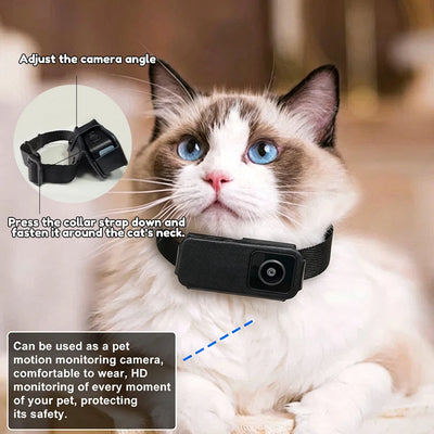 Caméra pour Chien Portable HD 1080P Sans WiFi