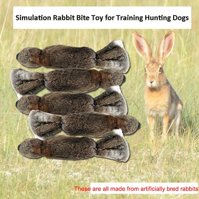 Lapin Simulé Sonore Dressage Chien Chasse