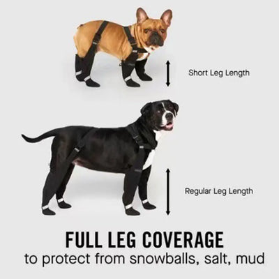 Bottes Réfléchissantes Antidérapantes Gros Chien
