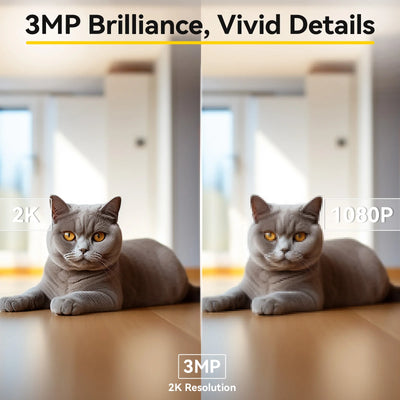 Caméra pour Chien 2K WiFi Double Bande Vision Nocturne