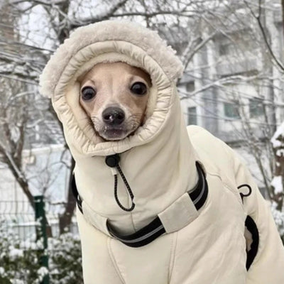 Manteau Chien Doudoune Combinaison Capuche Sherpa Lévrier