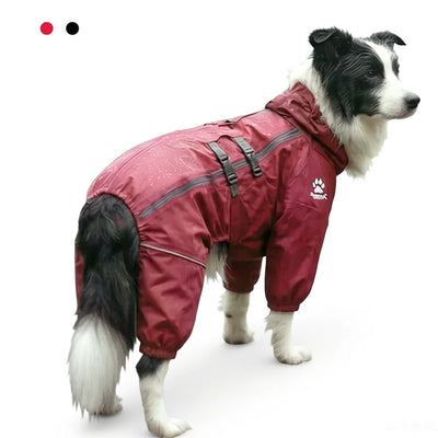 Manteau Imperméable Combinaison Intégrale Col Haut Border Collie
