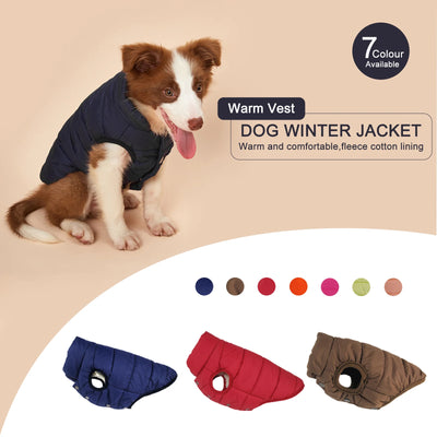 Manteau d'Hiver Matelassé Chien Doublure Sherpa
