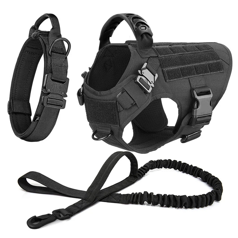 https://cdn.shopify.com/s/files/1/0923/9910/8483/files/Harnais_tactique_pour_chien_avec_collier_laisse_et_quipements.webp?v=1746125336