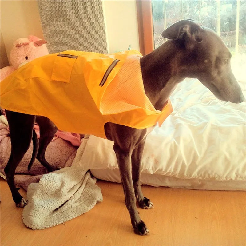 Manteau Imperméable à Capuche pour Chien