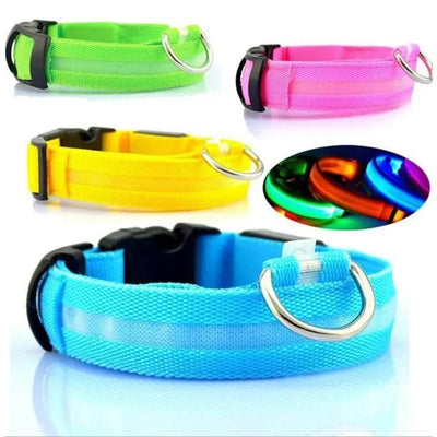 Collier LED Veilleuse Rechargeable pour Chien