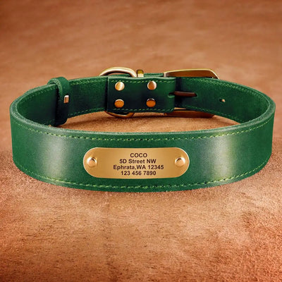 Collier Cuir Plaque d'Identification Gravée Chien Pitbull