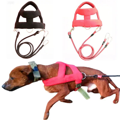 Harnais de Traction Pitbull Plastron Rembourré Corde Élastique
