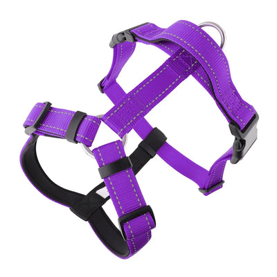Harnais en H Réfléchissant Rembourré Nylon pour Husky