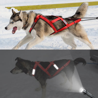 Harnais de Traction Canicross Réfléchissant Husky et Grand Chien