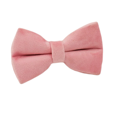 Collier et Laisse Velours Rose Harnais Assorti Chien
