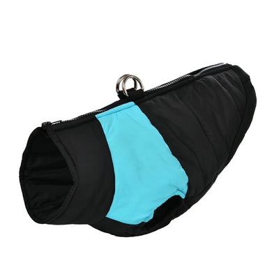 Manteau Automne Hiver Imperméable Chien Labrador