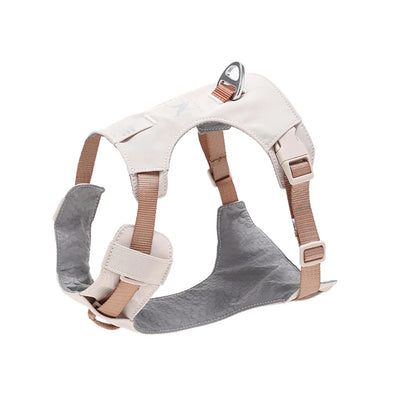 Ensemble Harnais et Laisse Assortis Anti-Traction Chien