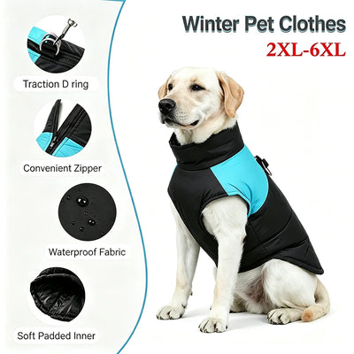Manteau Doudoune Chien Coupe-Vent Anneau en D Labrador