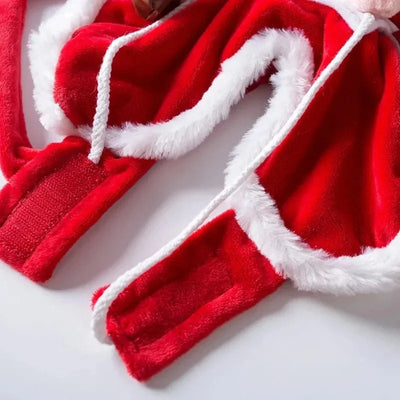 Costume de Père Noël Cavalier pour Chien
