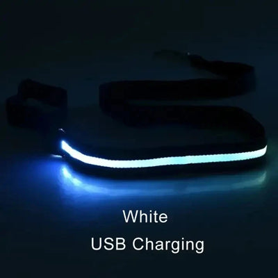 Laisse LED Corde Lumineuse pour Chien