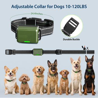 Collier Dressage Électrique Gros Chien 300m