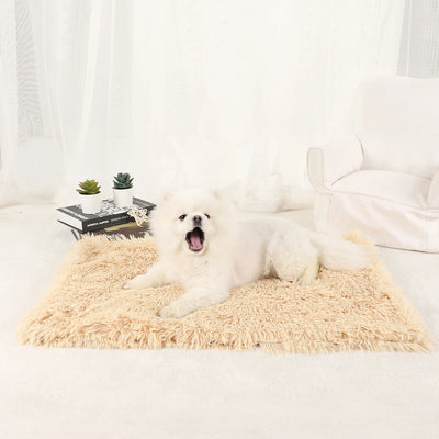 Tapis Moelleux Chien Ultra Doux Grand Format