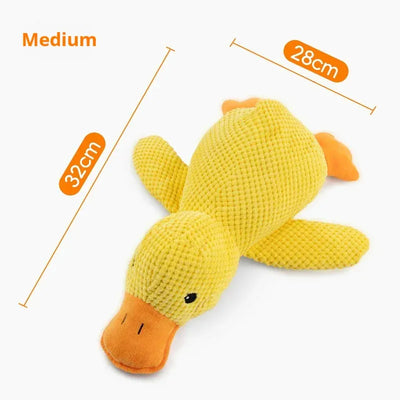 https://cdn.shopify.com/s/files/1/0489/2898/1148/files/S8d0e795cdec54727ba973c79ddbcefc7Y.webp?v=1768736139