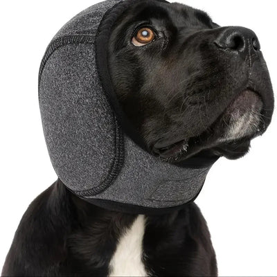 Protège-Oreilles Anti-Bruit Chien Bonnet Apaisant Orage