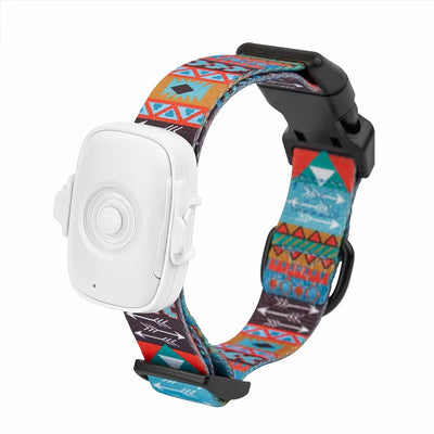 Collier GPS Chien 4G Alarme Anti-Perte Carte 1 An