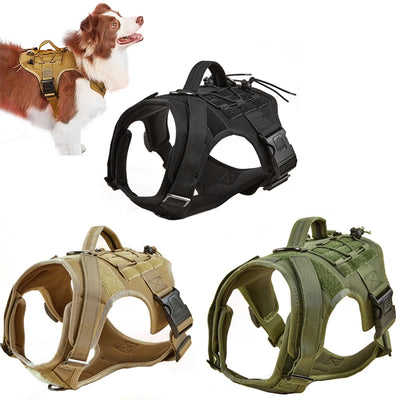 Harnais Tactique Molle Berger Allemand Malinois jusqu'à 65 kg