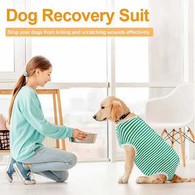Body Post-Opératoire Chien Alternative Collerette Grande Taille