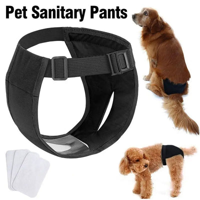 Culotte Hygiénique pour Chien Lavable Réglable XS à 2XL