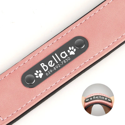 Collier Cuir Personnalisé Plaque Gravée Grand Chien