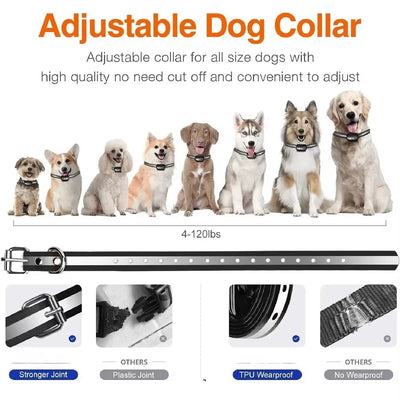 Collier Dressage Télécommande Gros Chien 1000m