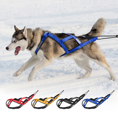 Harnais de Traction Canicross Réfléchissant Husky et Grand Chien