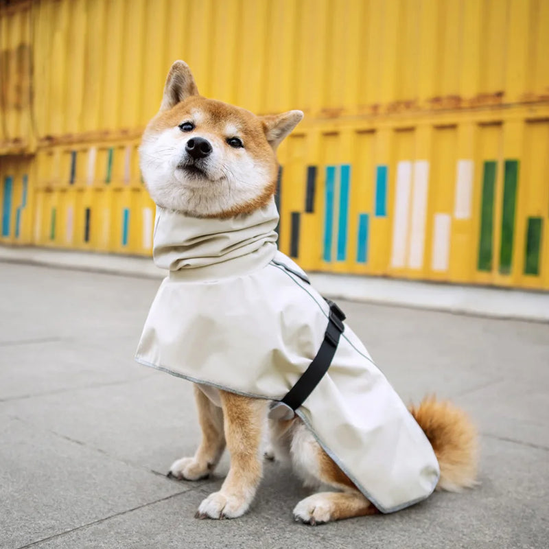Manteau Imperméable Chien Poncho Capuche Grande Taille