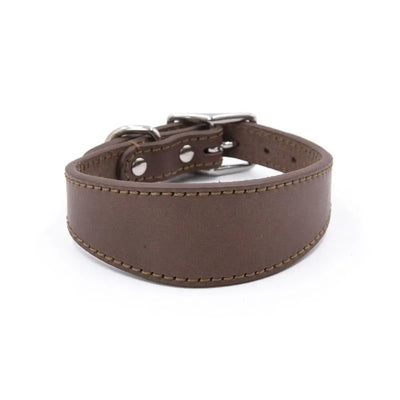 Collier Cuir Large Anti-Traction pour Grand Chien