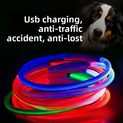 Collier Lumineux LED Étanche 3 Modes Rechargeable Chien