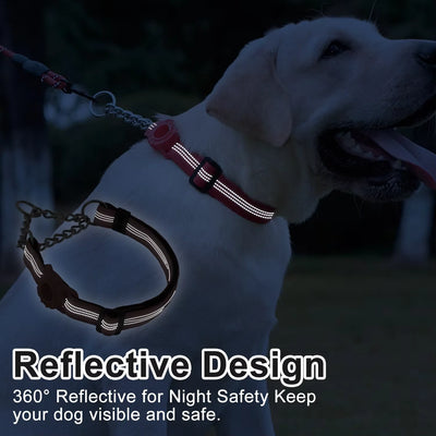 Collier Anti-Traction Réfléchissant Support AirTag pour Chien