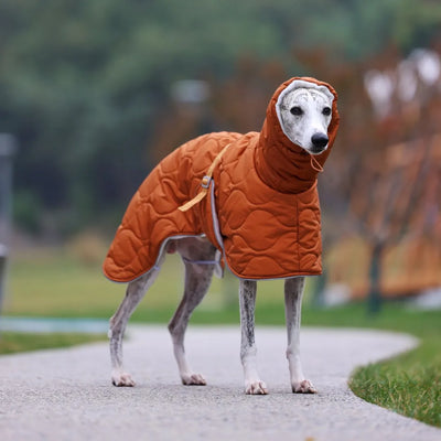 Veste Hiver Imperméable Doublure Épaisse Gros Chien