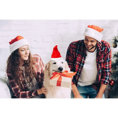Chapeau de Père Noël Moelleux pour Chien