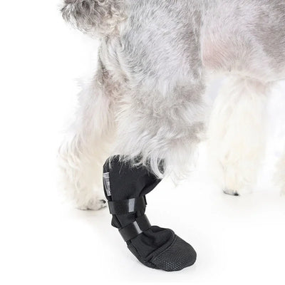 Botte Récupération Pattes Gros Chien Imperméable