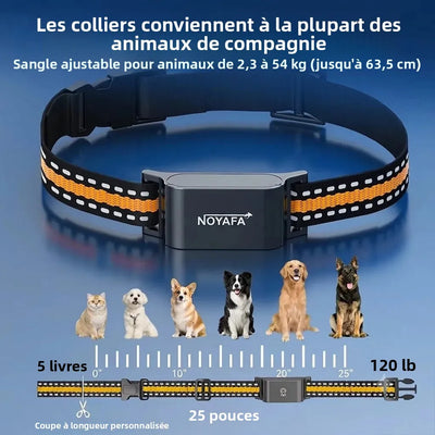 Collier GPS 4G Chien Clôture Virtuelle jusqu'à 54 kg