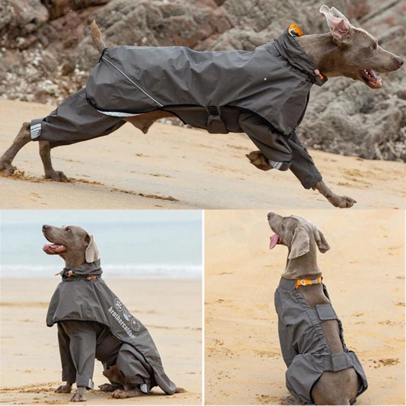 Manteau Imperméable Combinaison Intégrale Grand Chien Réfléchissant