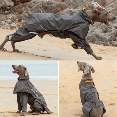 Manteau Imperméable Combinaison Intégrale Grand Chien Réfléchissant