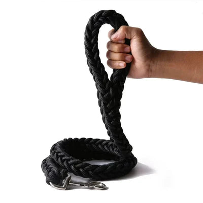 https://cdn.shopify.com/s/files/1/0489/2898/1148/files/S914e765505df409caba612682cc693efW.webp?v=1742978341