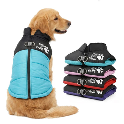 Manteau Imperméable Rembourré Grand Chien Golden Retriever