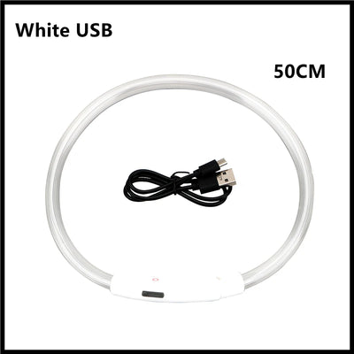 Collier Lumineux LED Rechargeable USB Nylon Grand Chien