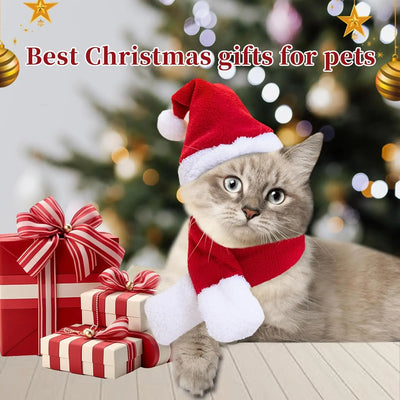 Chapeau et Écharpe de Père Noël pour Chien