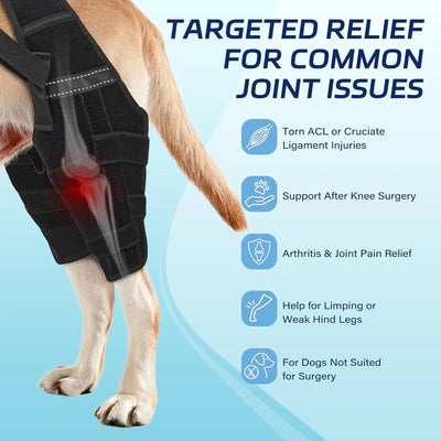 Attelle Chien Double Jambe Anti-Glissement Pattes Arrière
